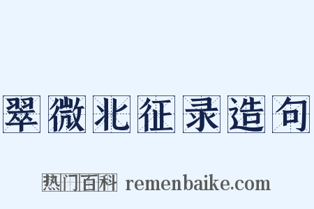 翠微北征录造句是什么意思的图片